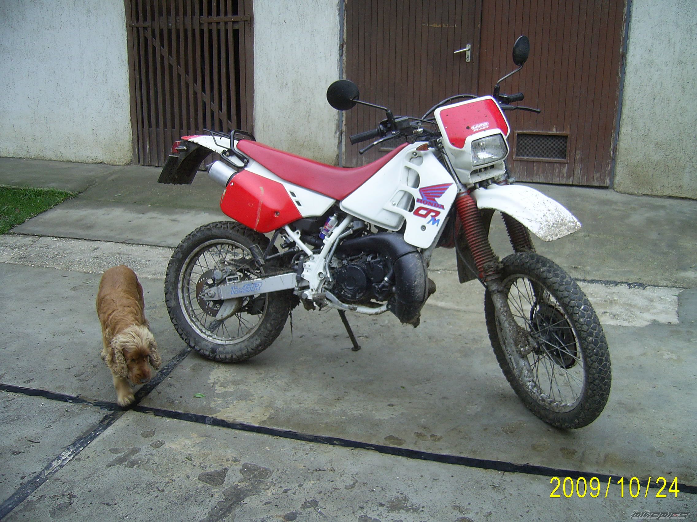 Photo 1835709
