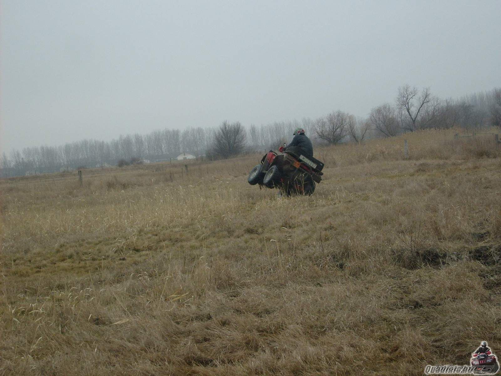 Photo 1835925