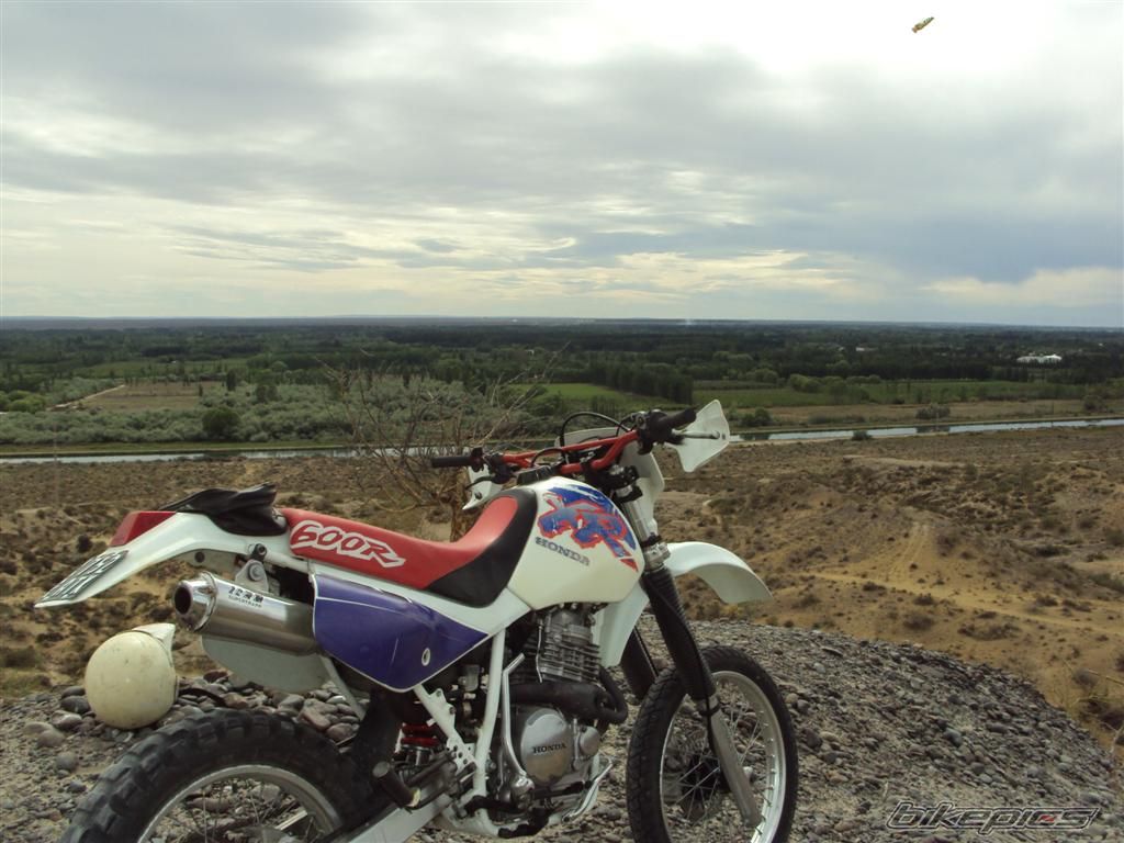 Bike Photo 1836090