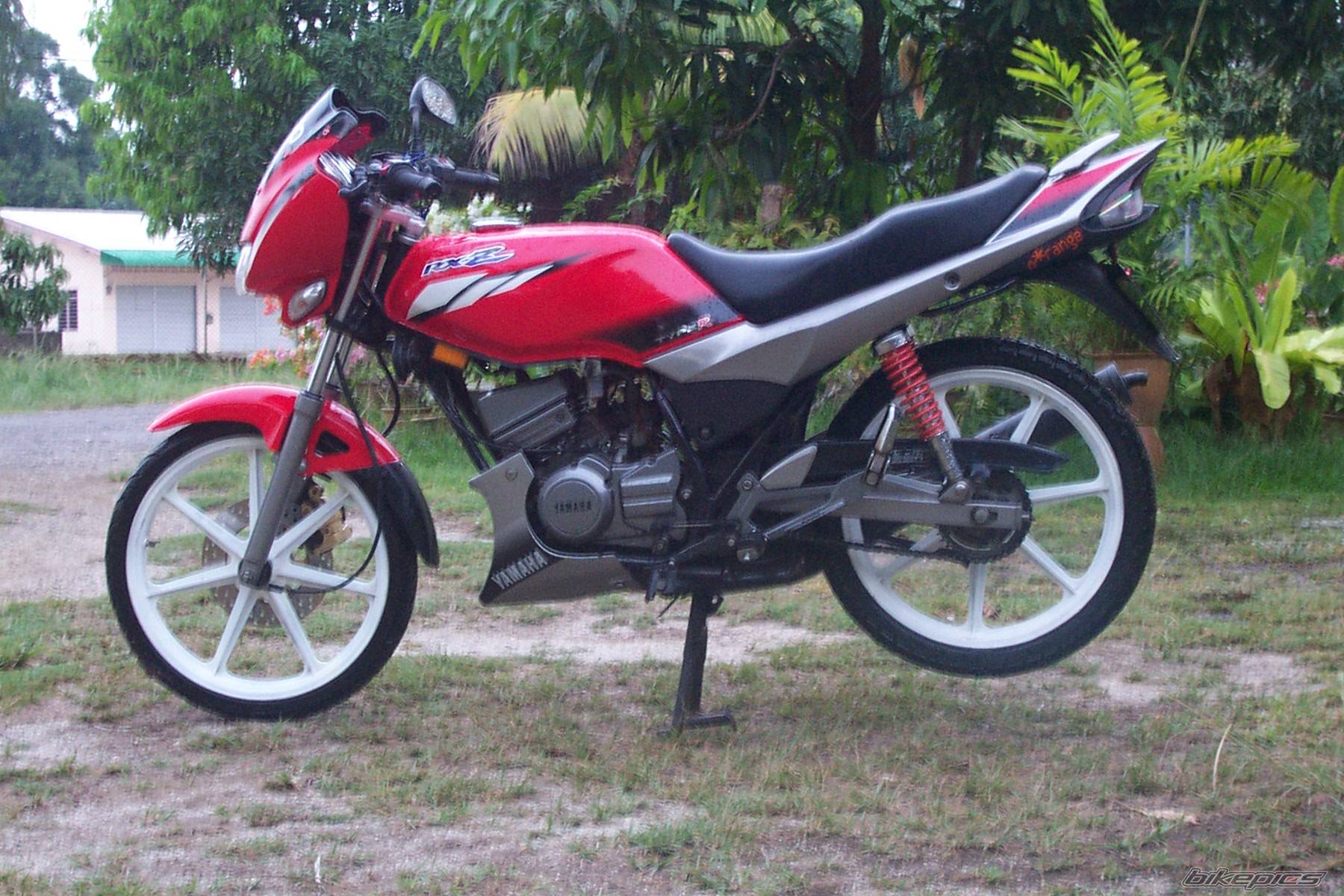 Photo 183639