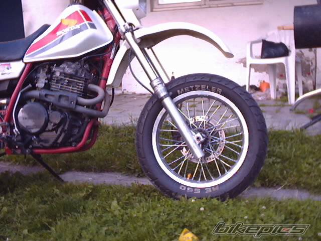Photo 183666