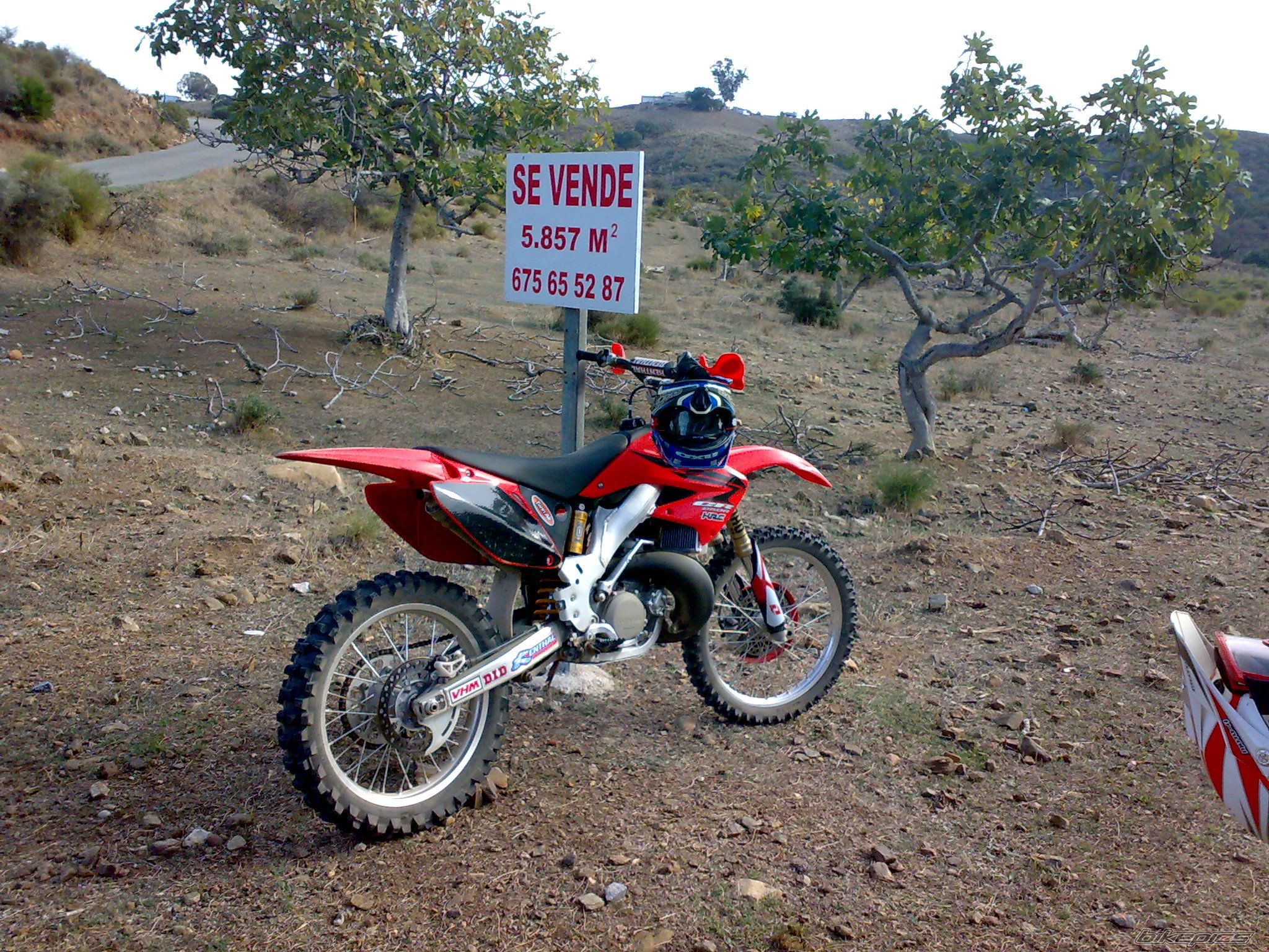 Photo 1836663