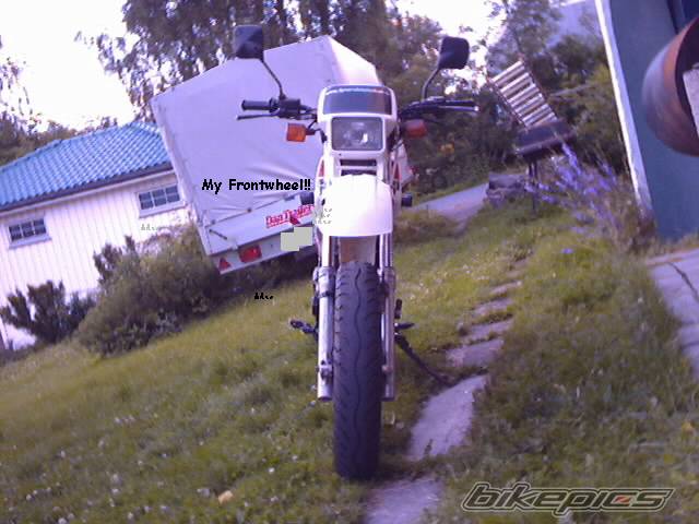 Photo 183667