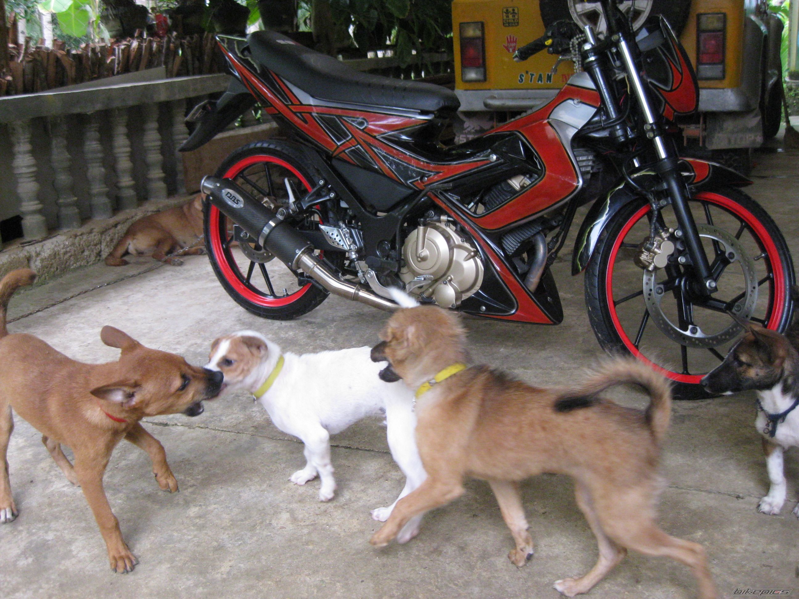 Photo 1836997