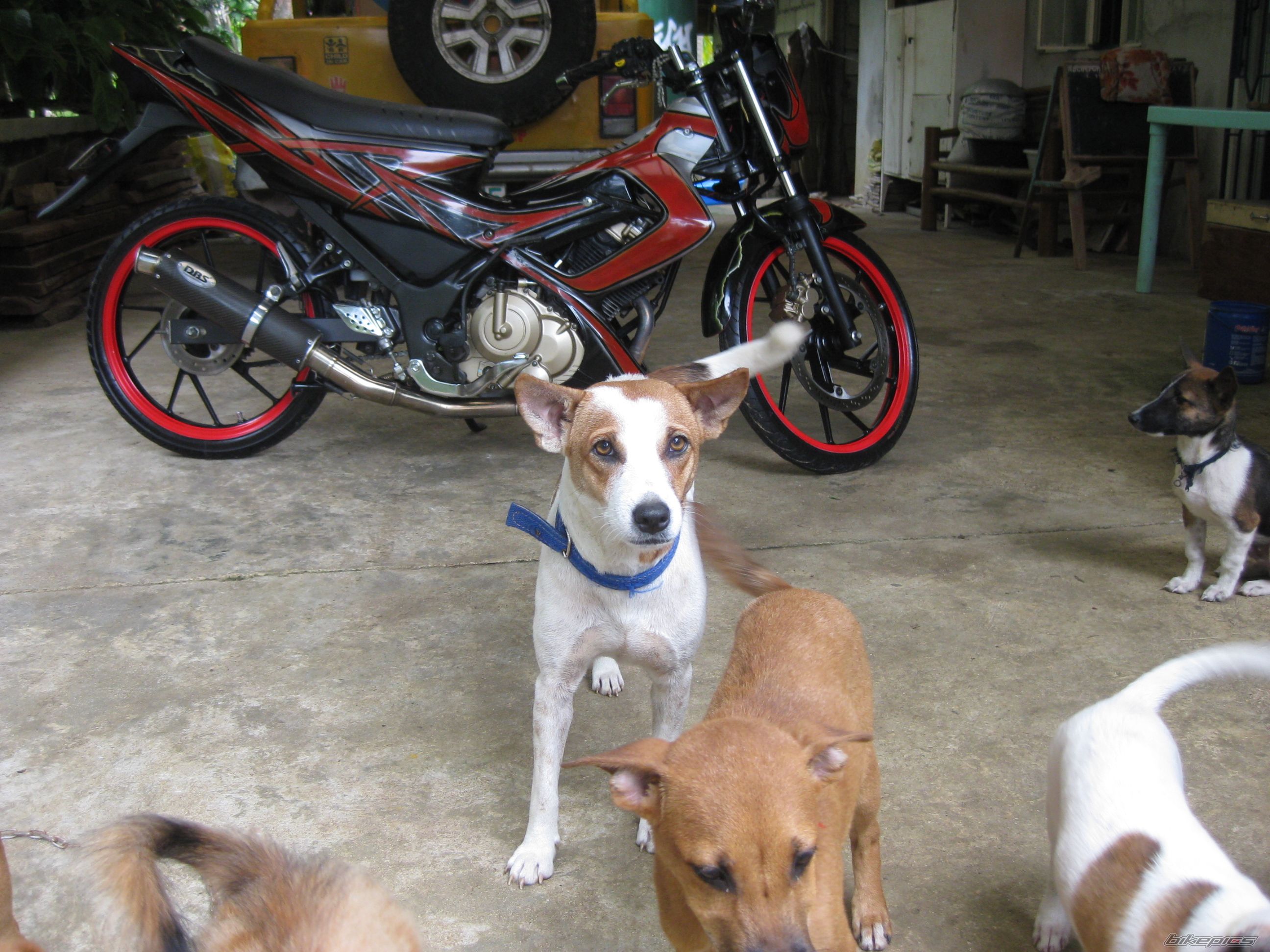 Photo 1836998