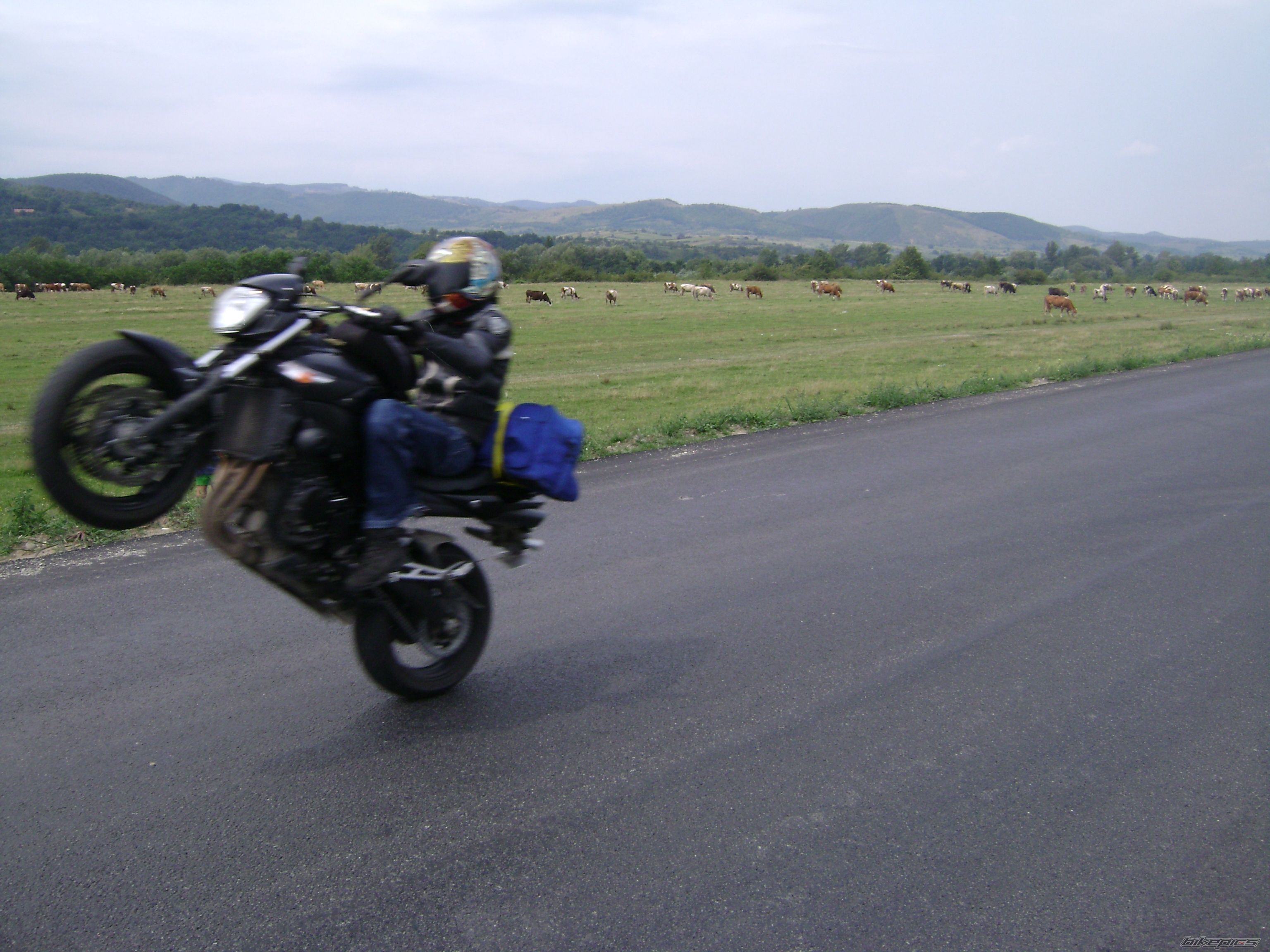 Bike Photo 1837153
