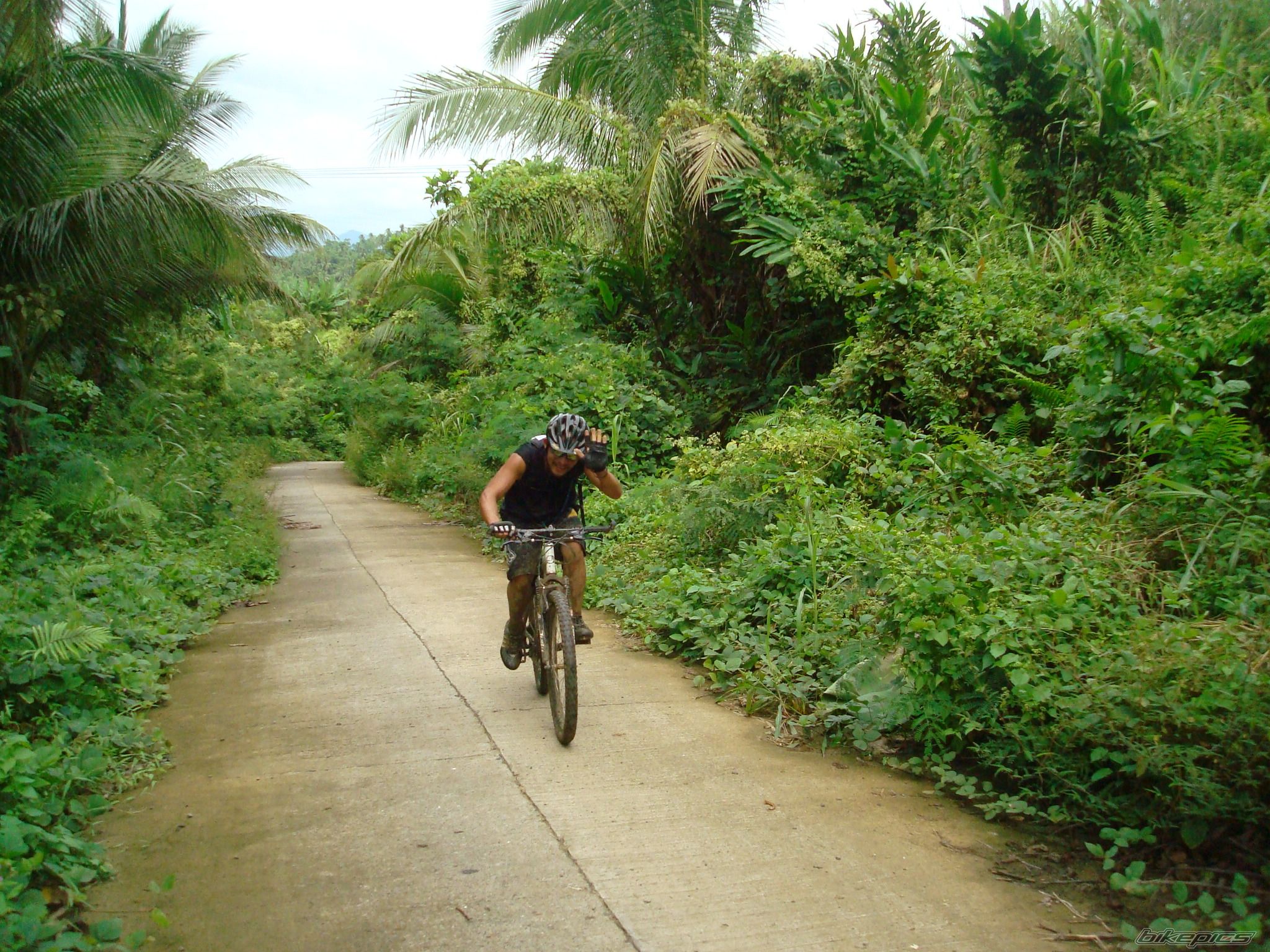 Bike Photo 1837275