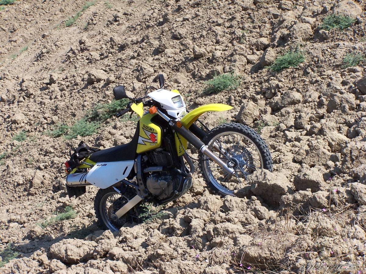 Bike Photo 183728