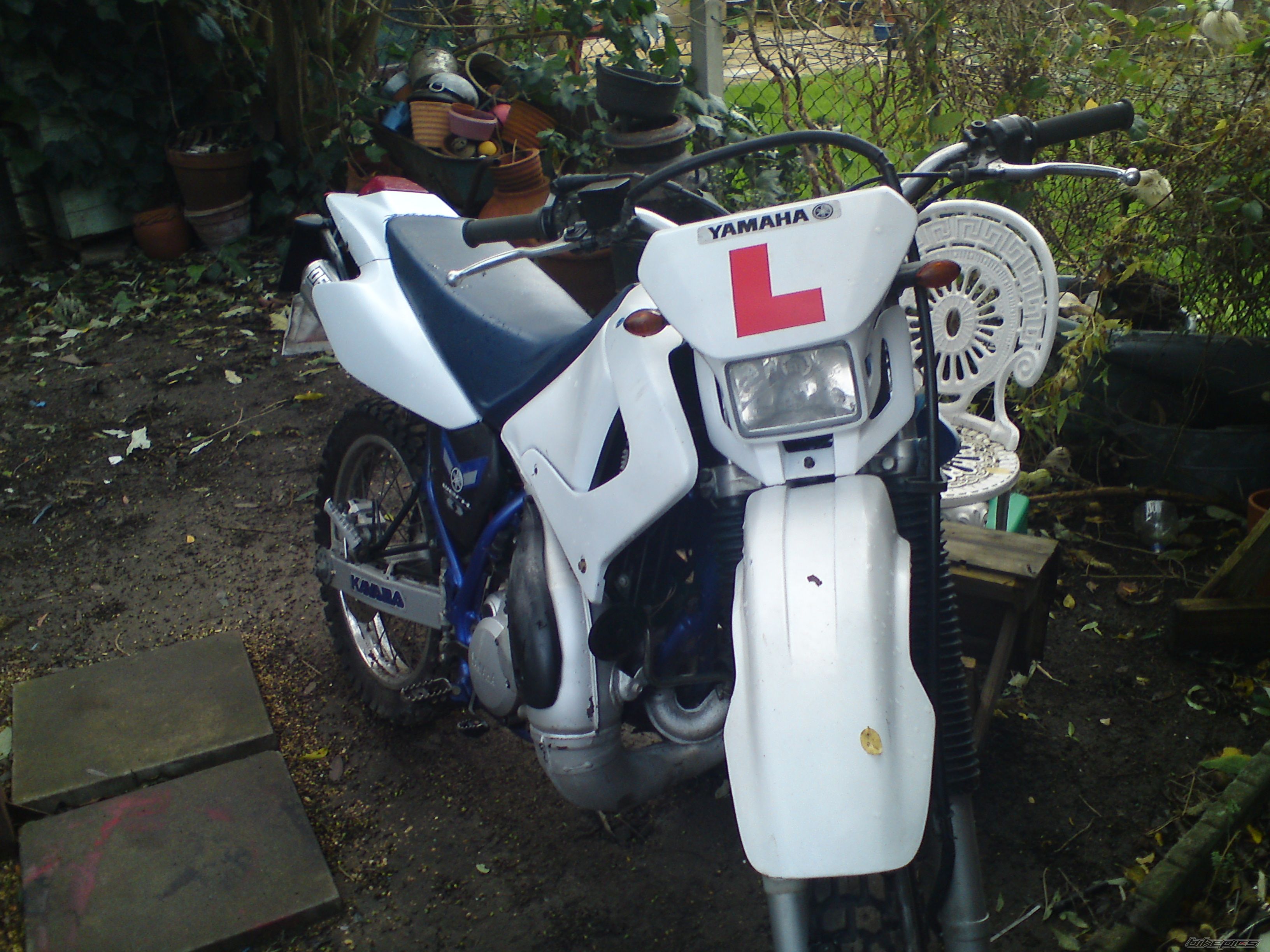 Photo 1837372
