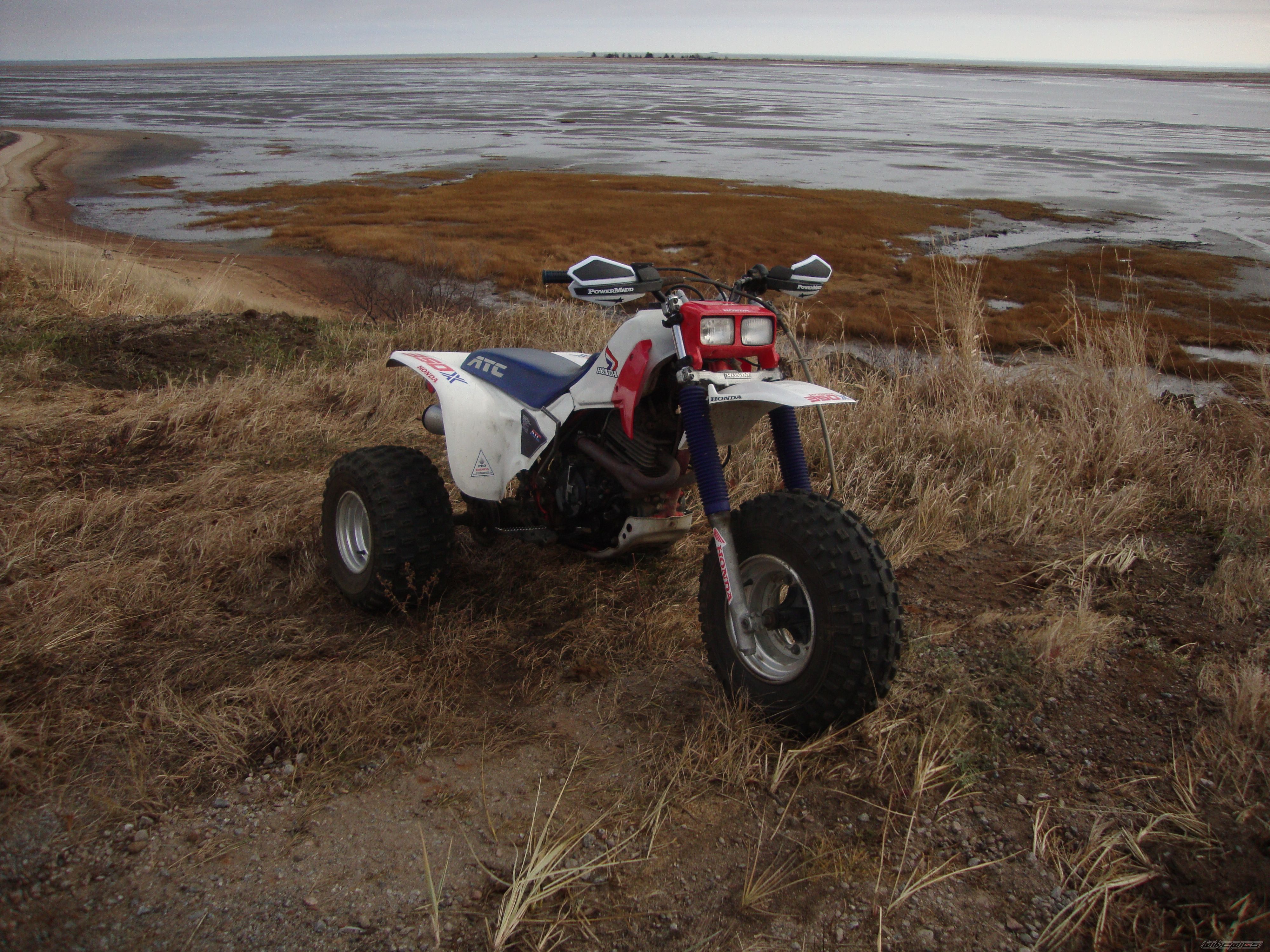 Photo 1837427