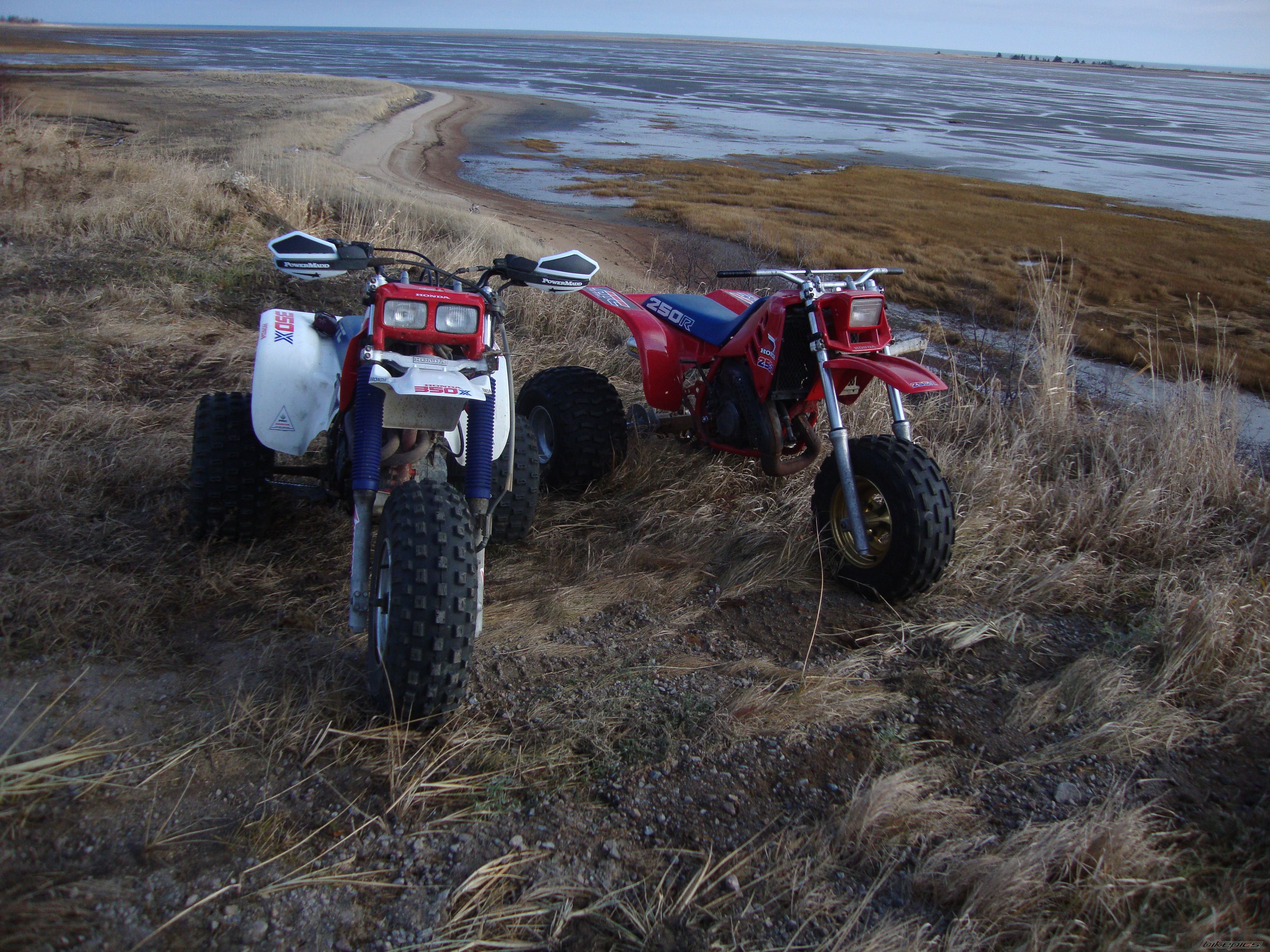 Photo 1837432
