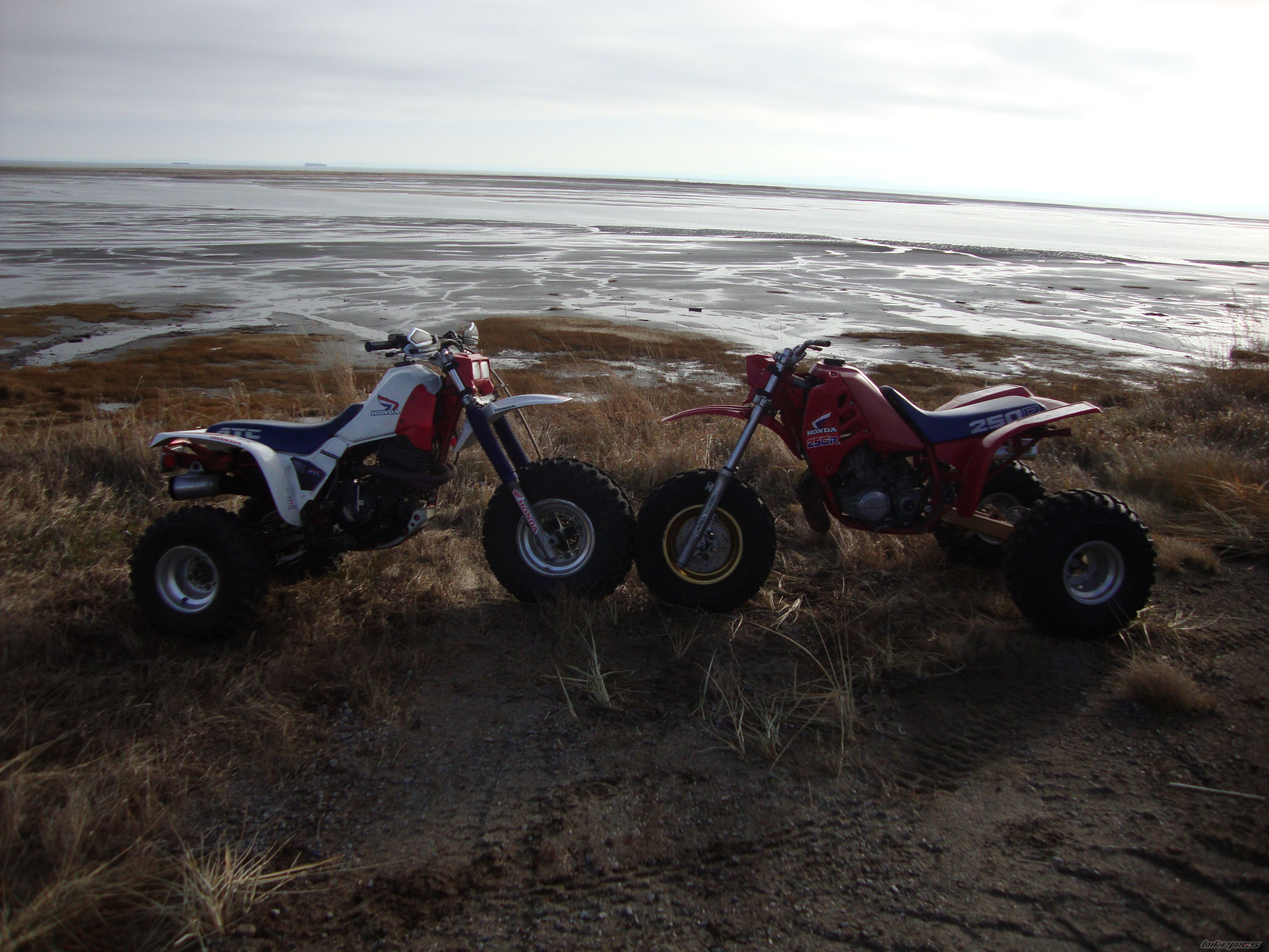 Bike Photo 1837436