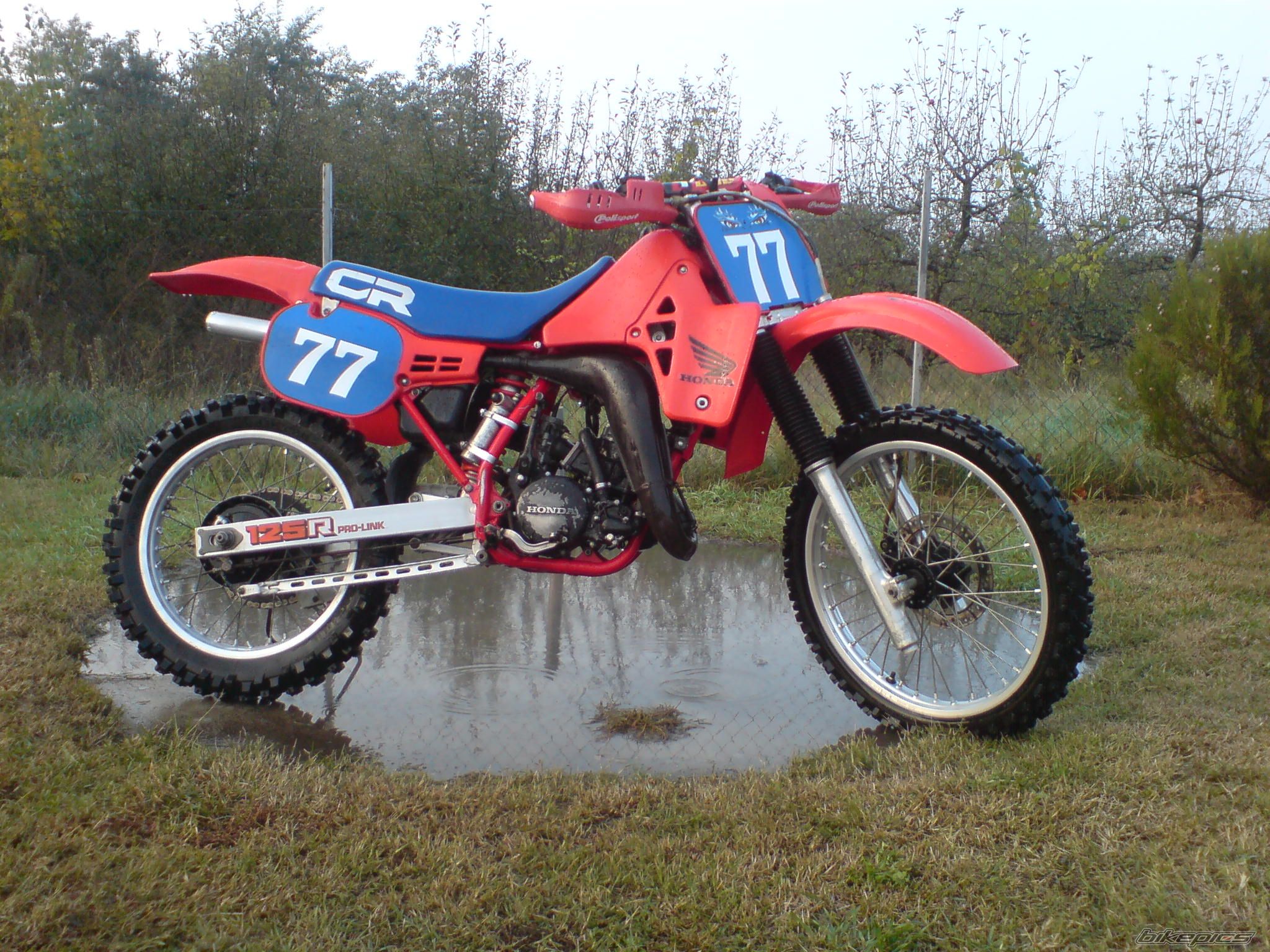 Bike Photo 1837544
