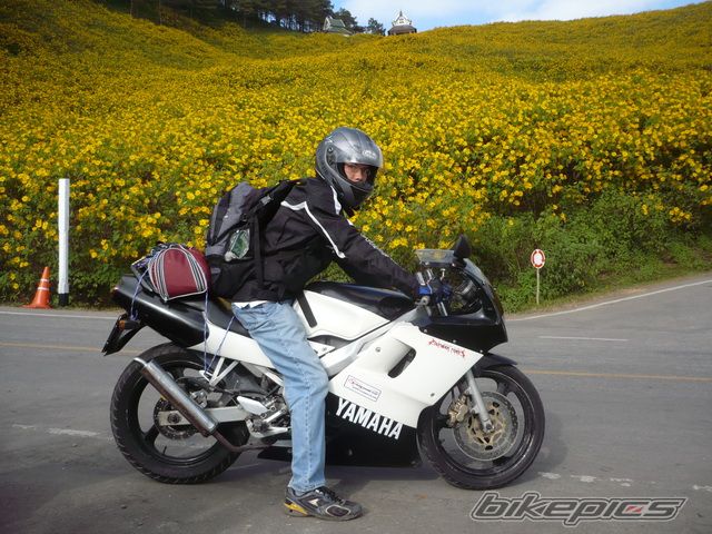 Photo 1838195