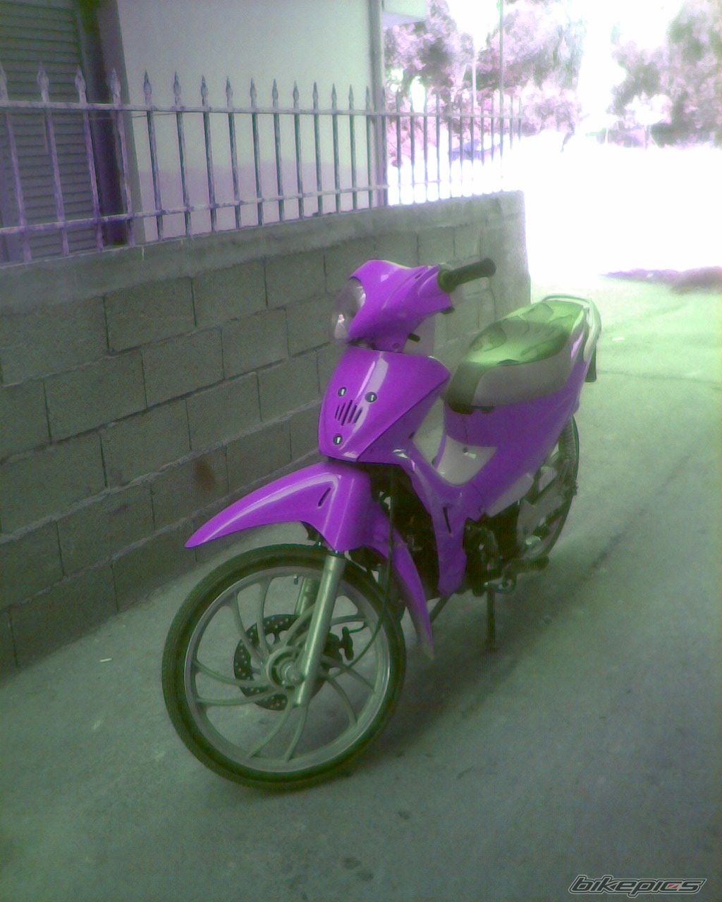 Photo 1838882