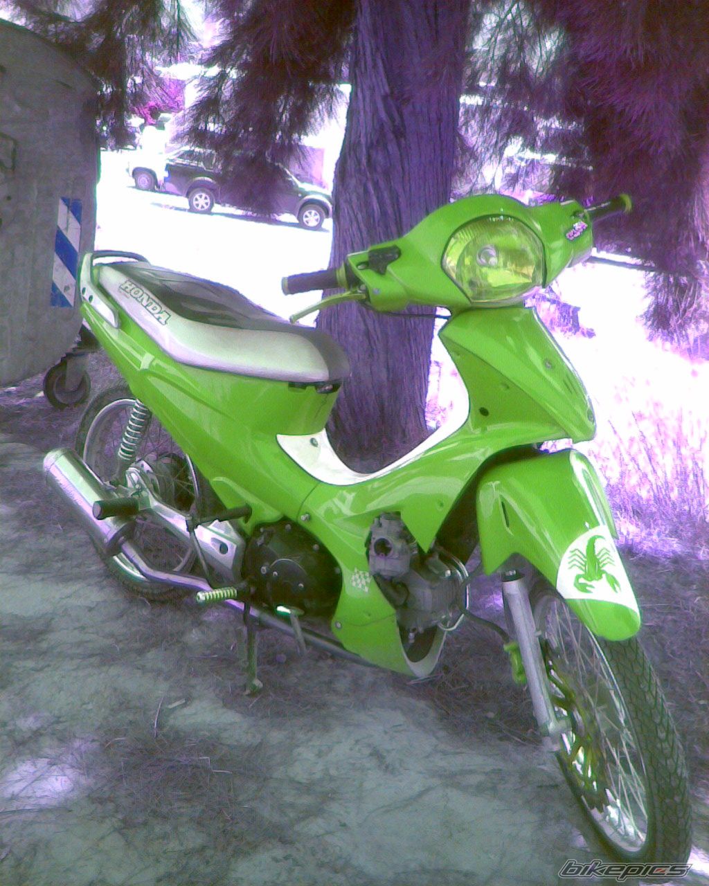 Photo 1838883