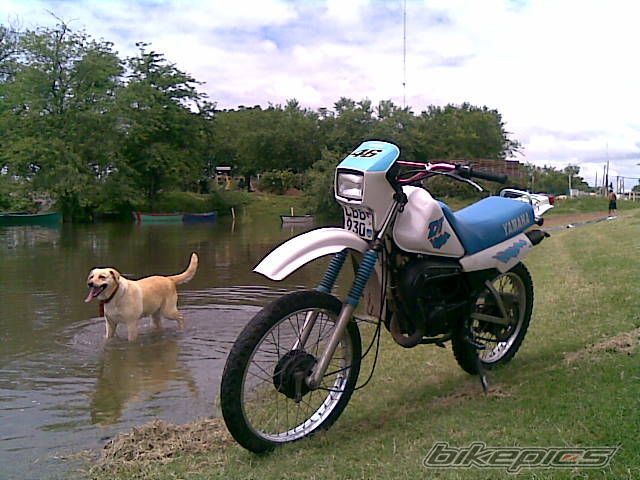 Bike Photo 1838983