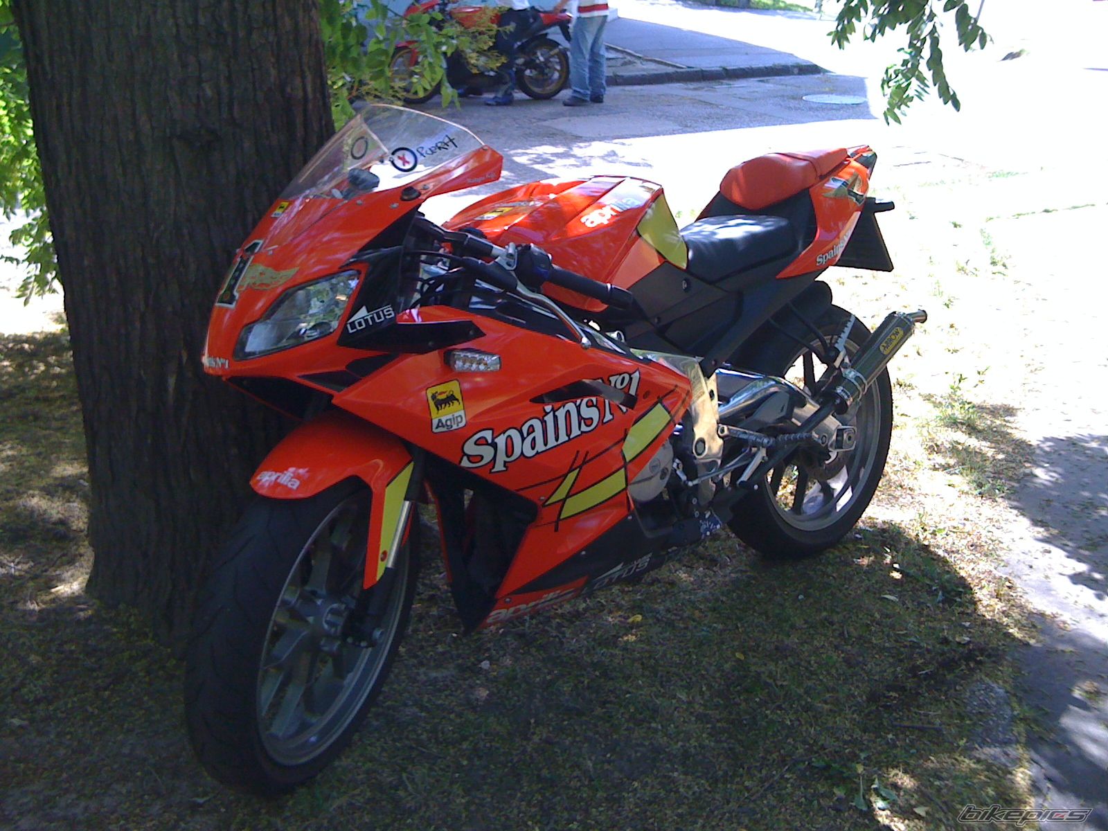 Photo 1839087