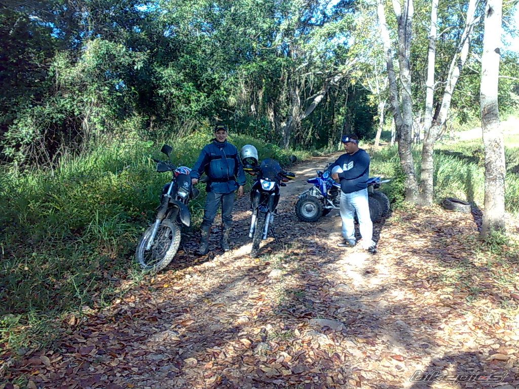 Photo 1839127