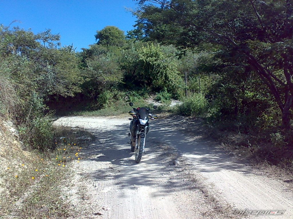Photo 1839135