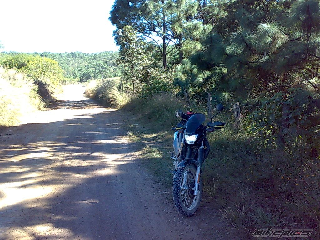 Photo 1839137