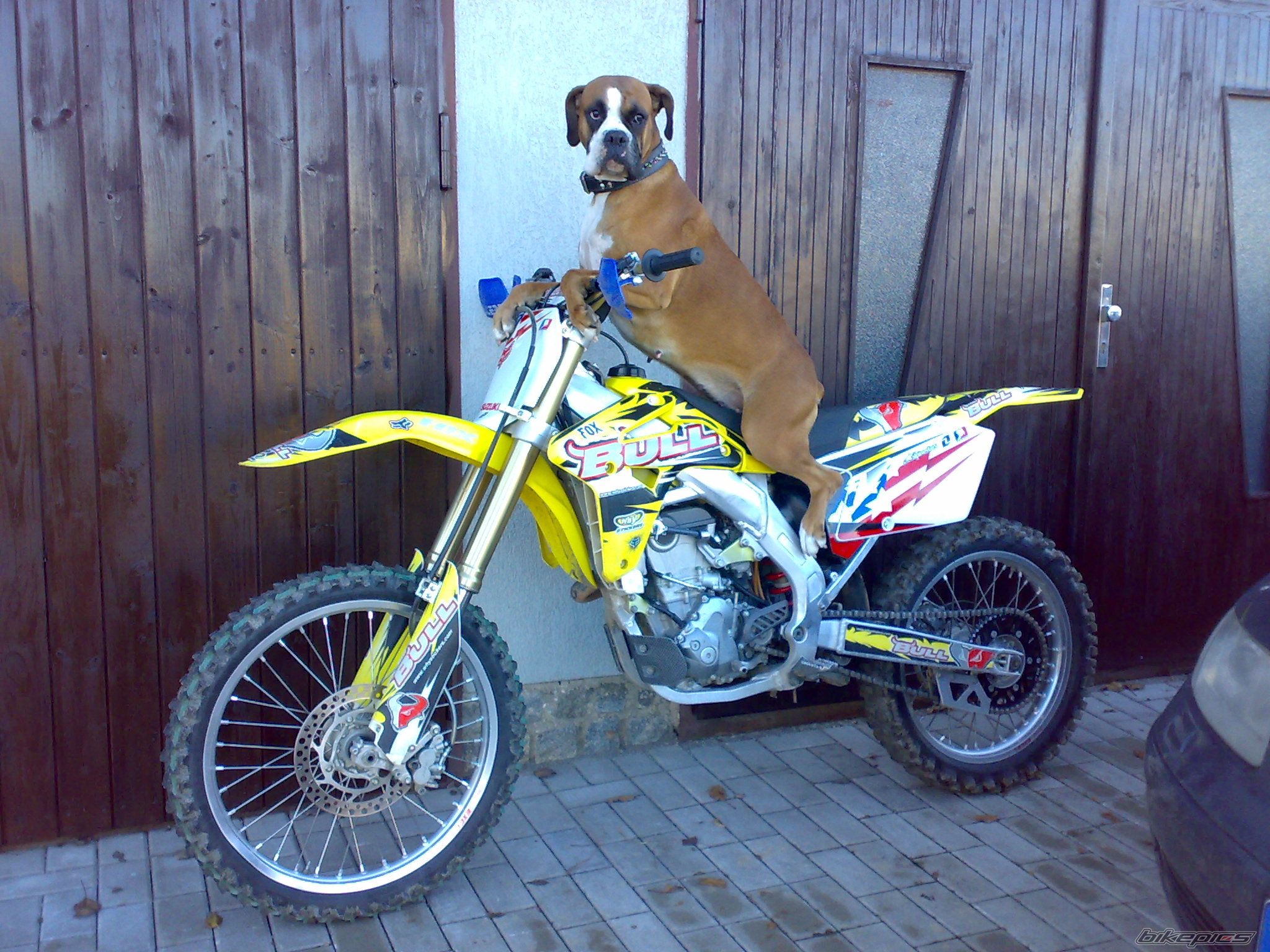 Bike Photo 1839145