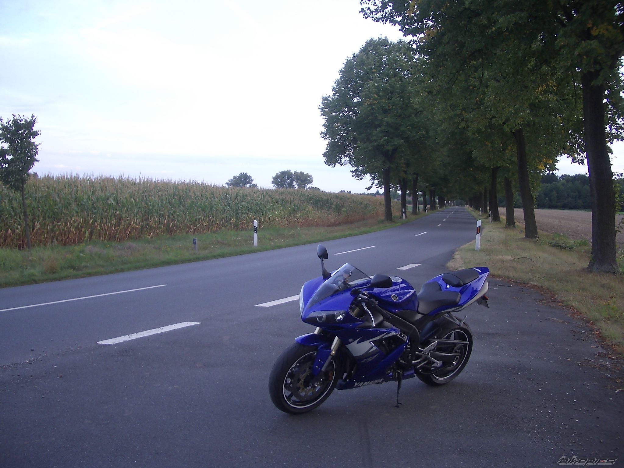 Photo 1839179
