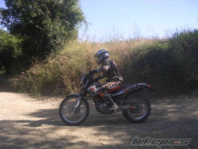 Photo 183923