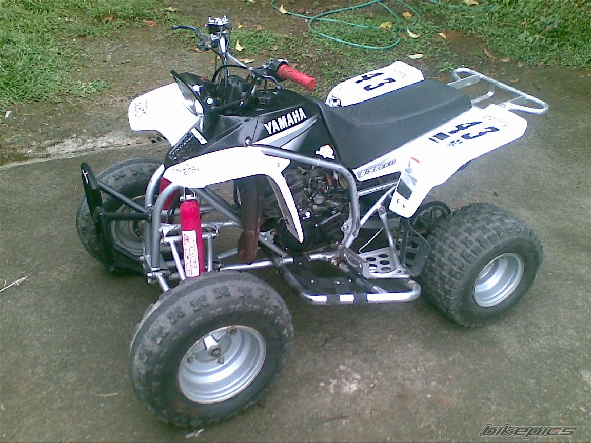 Photo 1839240