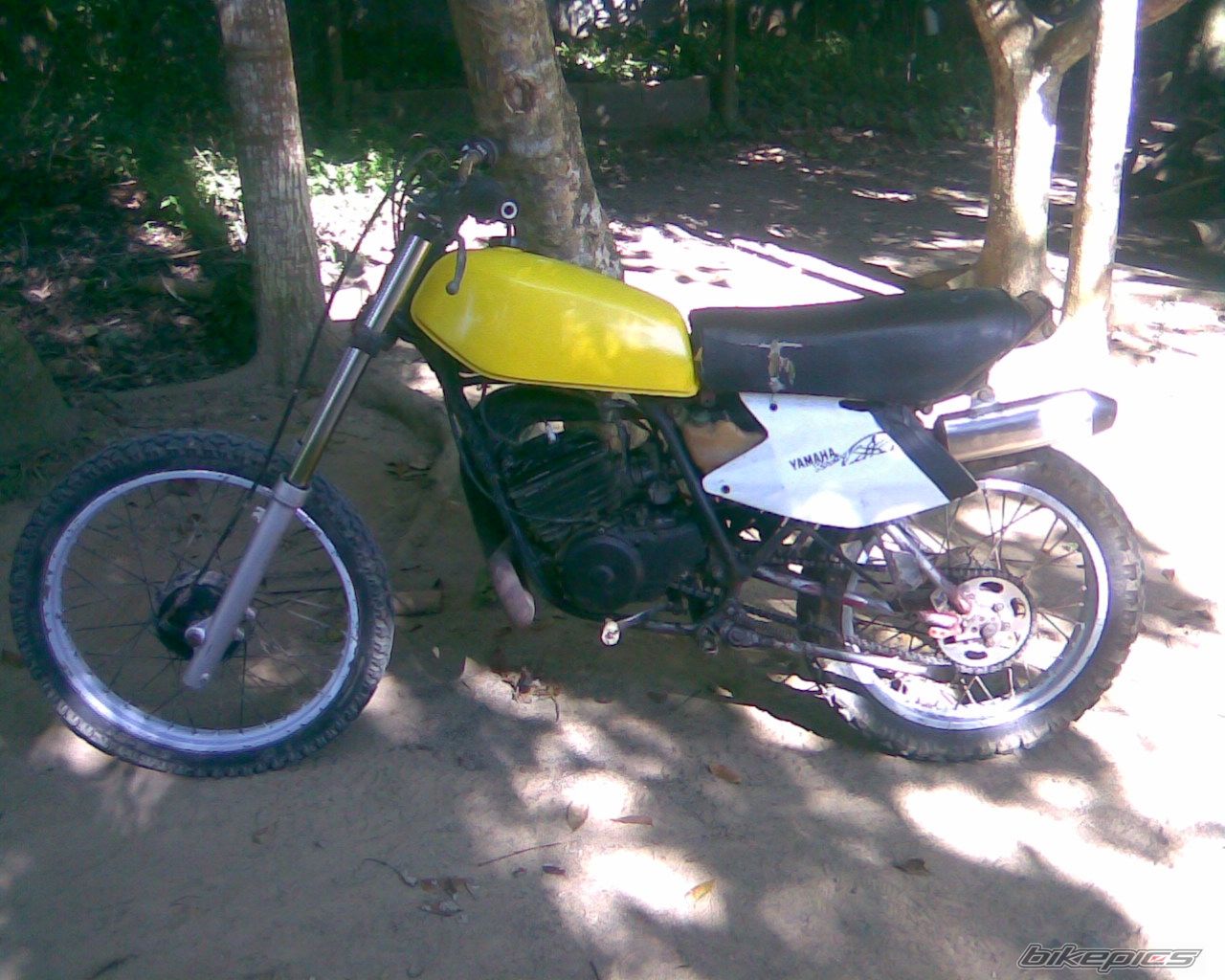 Photo 1839423
