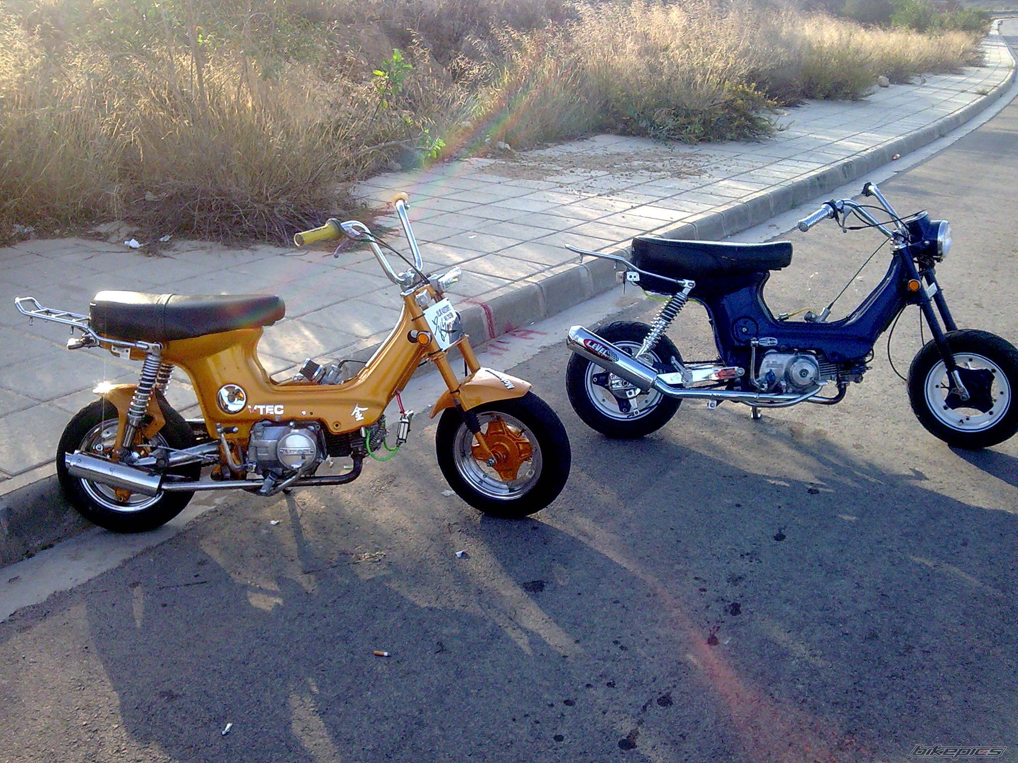 Photo 1839468
