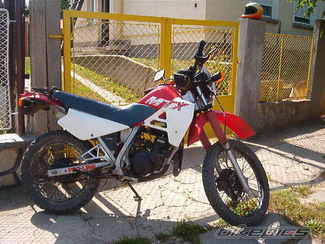 Photo 183973