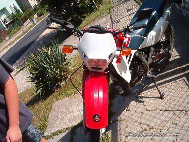 Photo 183975