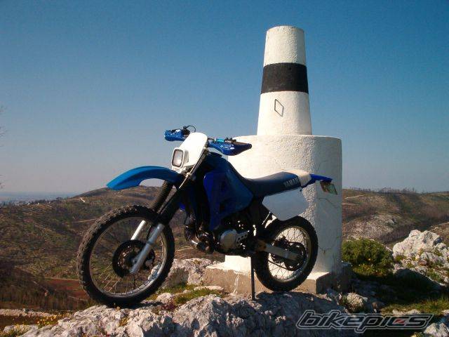 Photo 183981