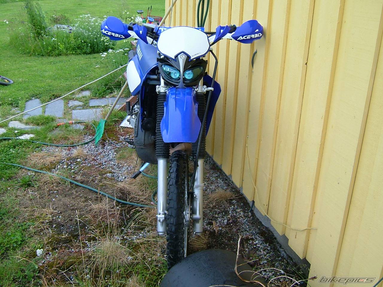 Photo 183993