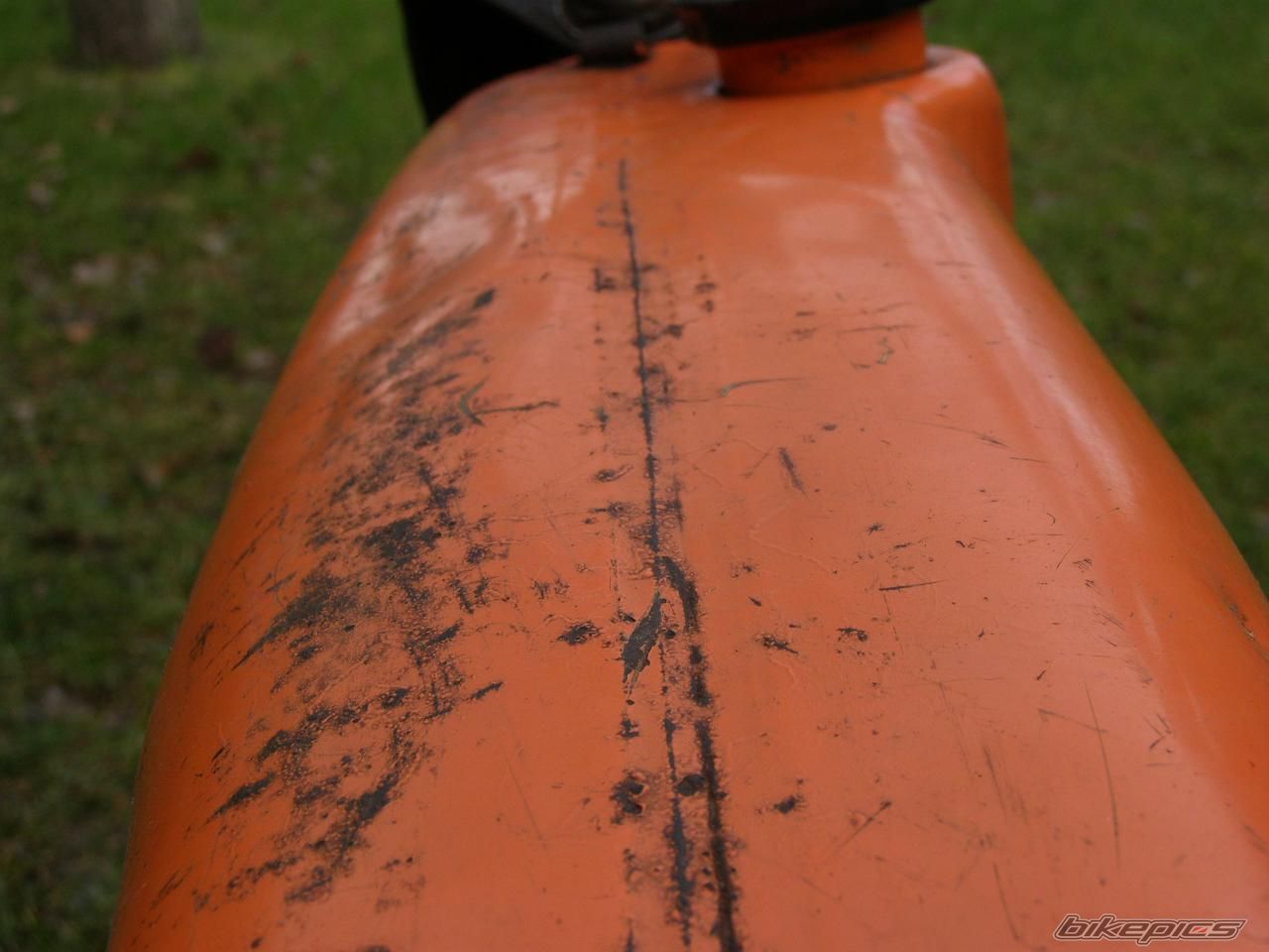 Photo 1839979