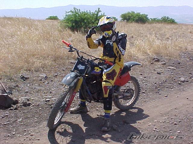 Photo 183999
