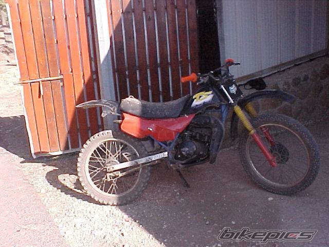 Bike Photo 184000