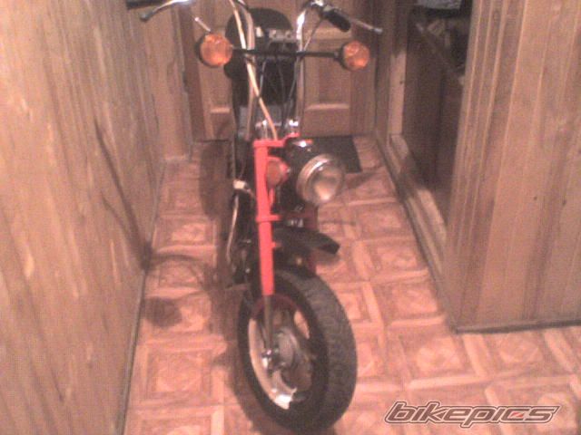 Photo 1840142