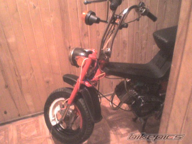 Photo 1840144