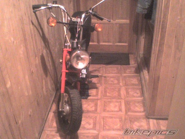 Photo 1840150