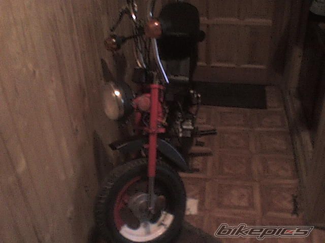 Photo 1840151