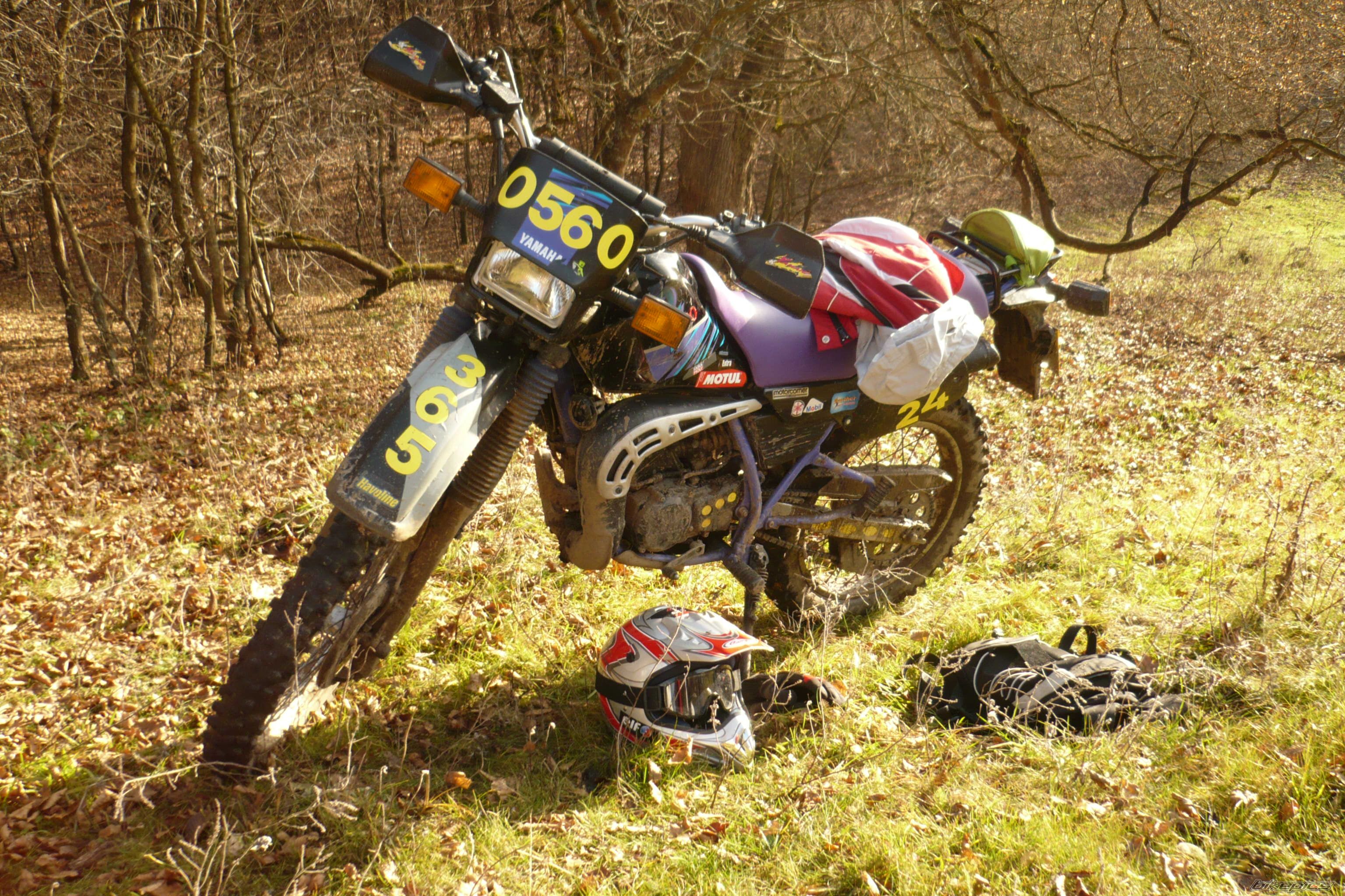 Bike Photo 1840280