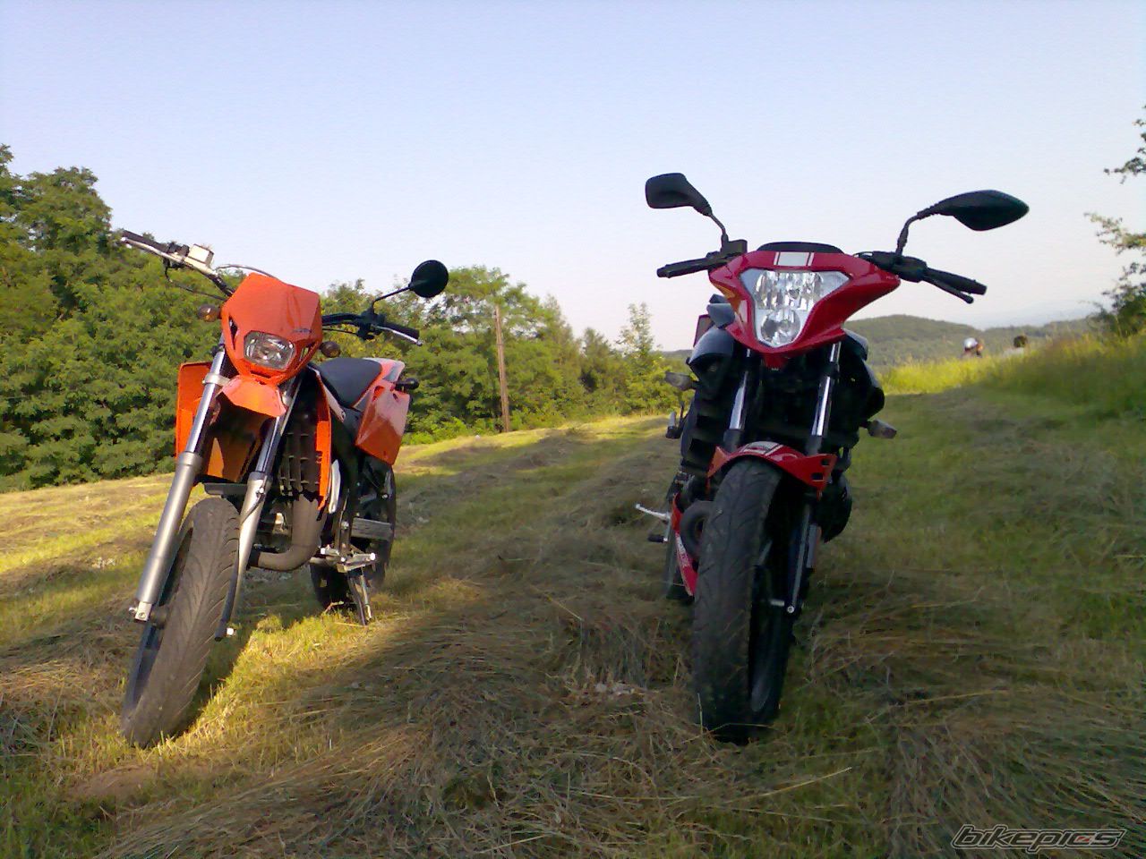 Photo 1840312