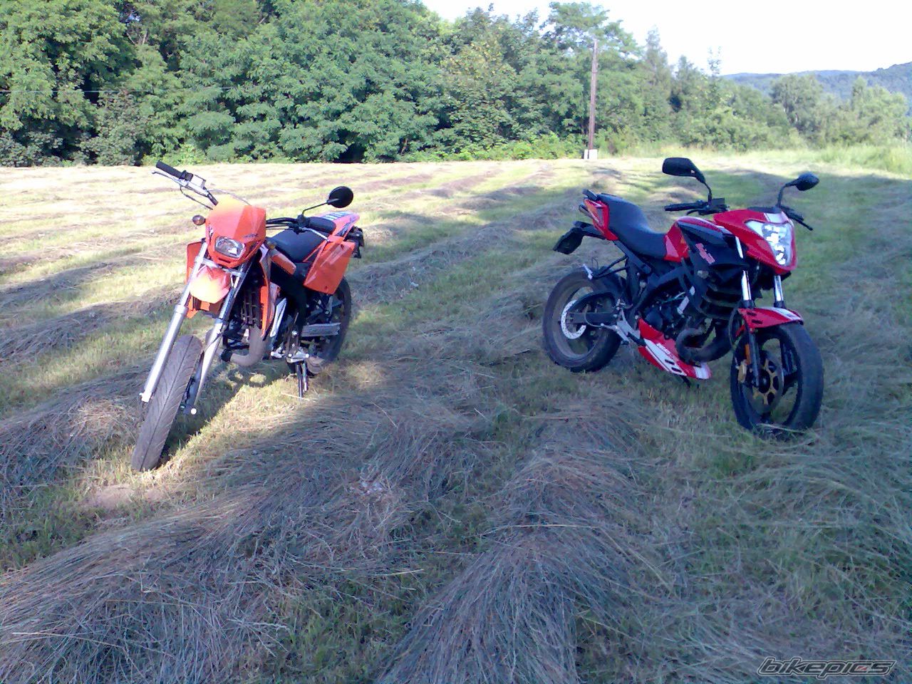 Photo 1840313
