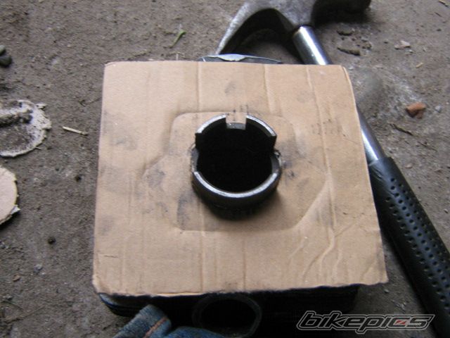 Photo 1840689