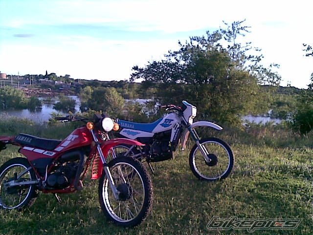 Photo 1841305