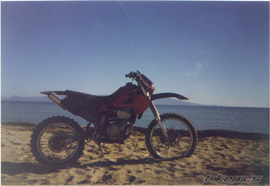 Photo 184145