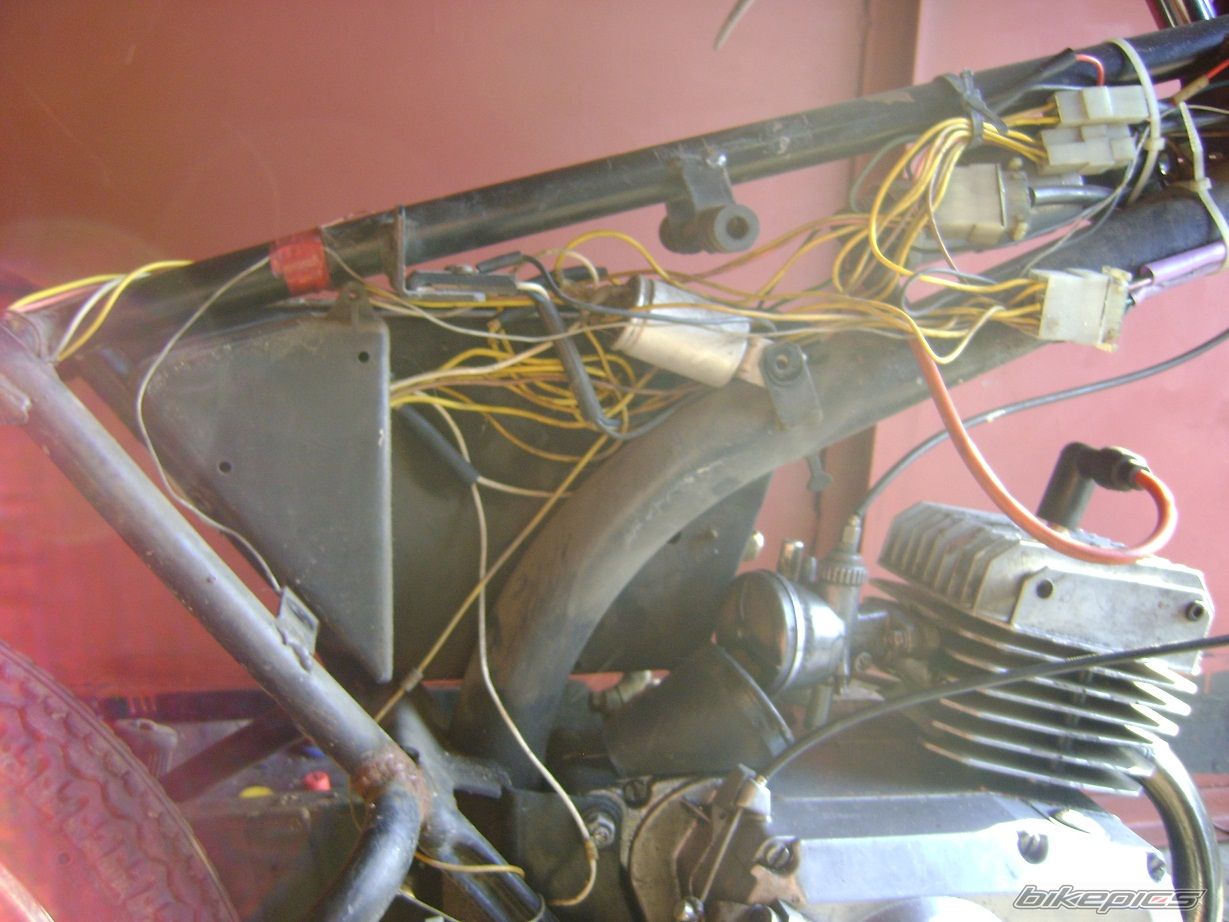 Bike Photo 1841563