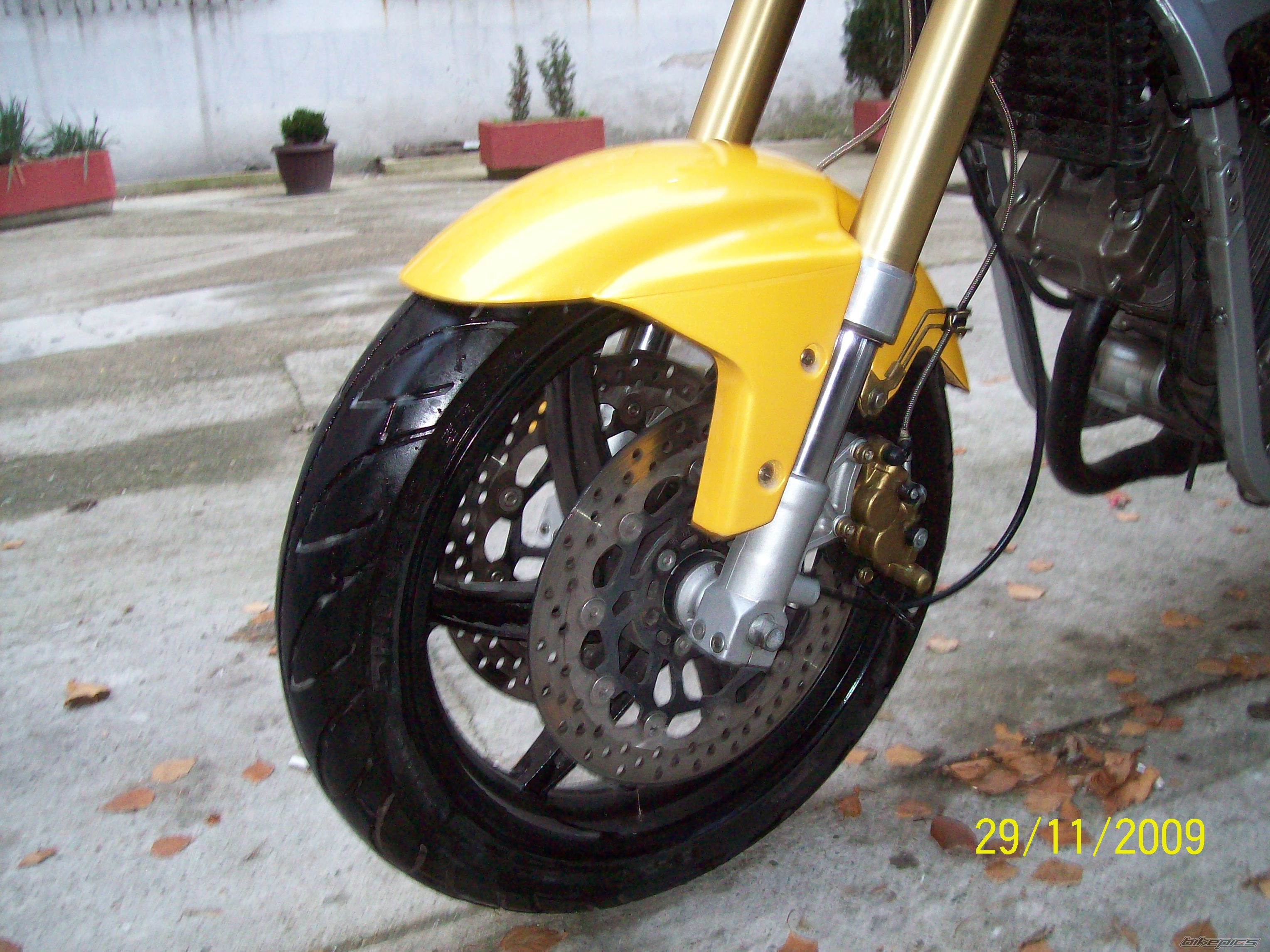 Photo 1842010